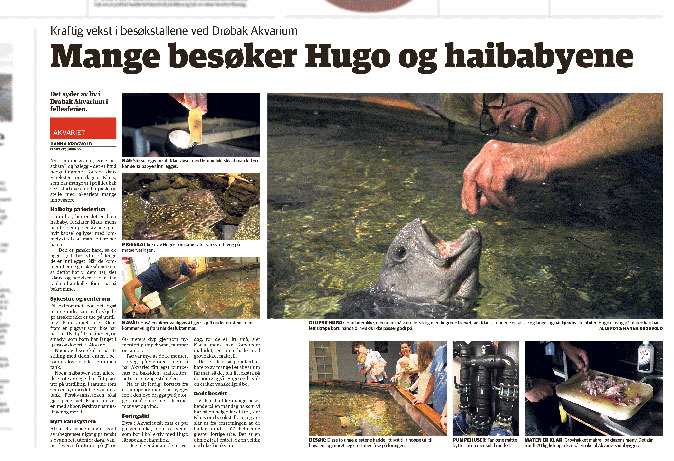 Faksimile fra Akershus Amstidende 13. juli 2016