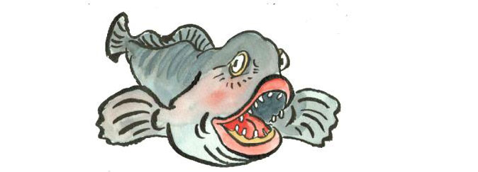 Besøk steinbitten Hugo på Drøbak Akvarium Besøk steinbitten Hugo på Drøbak Akvarium