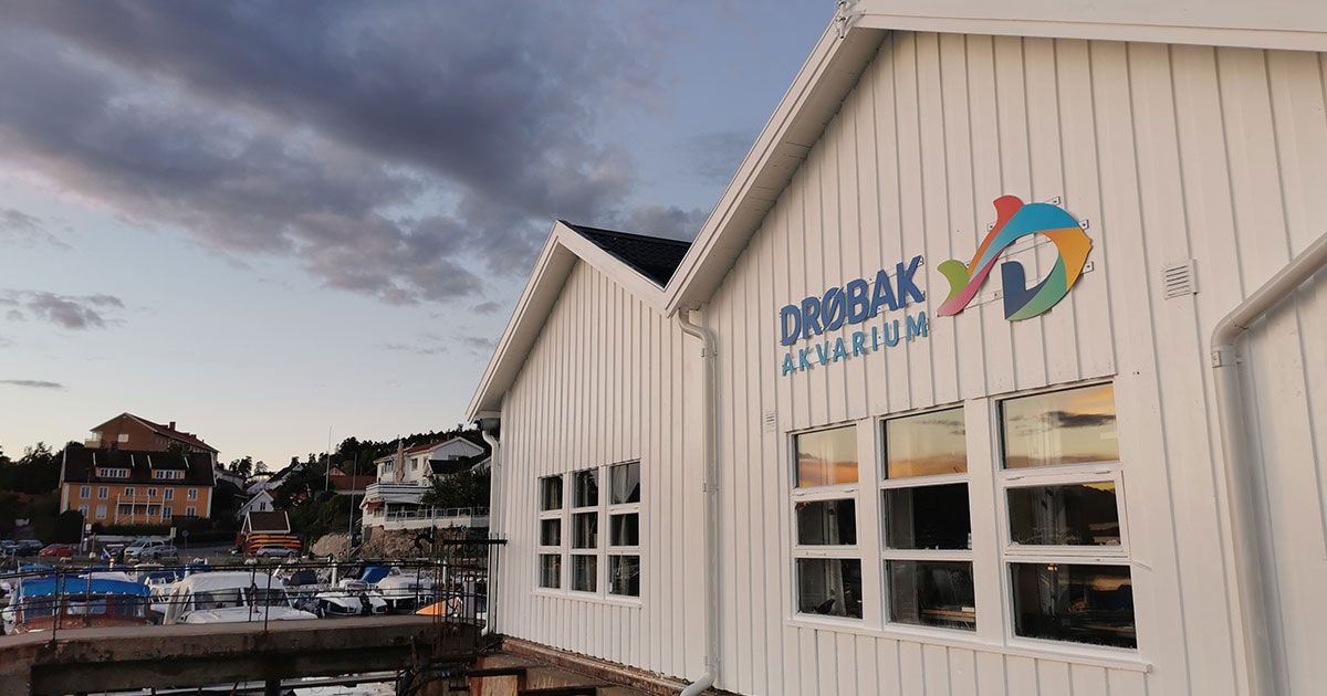 Nye fasadeskilt til Drøbak Akvarium