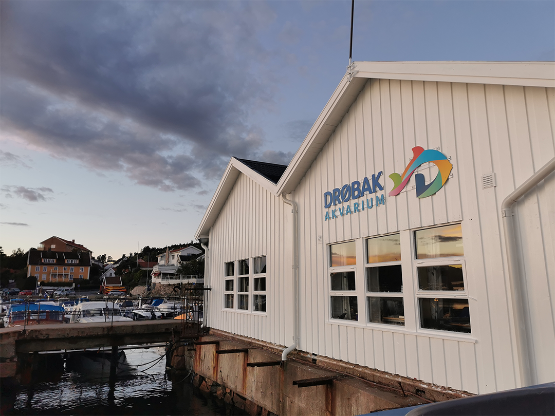 Nytt fasadeskilt ut mot havet